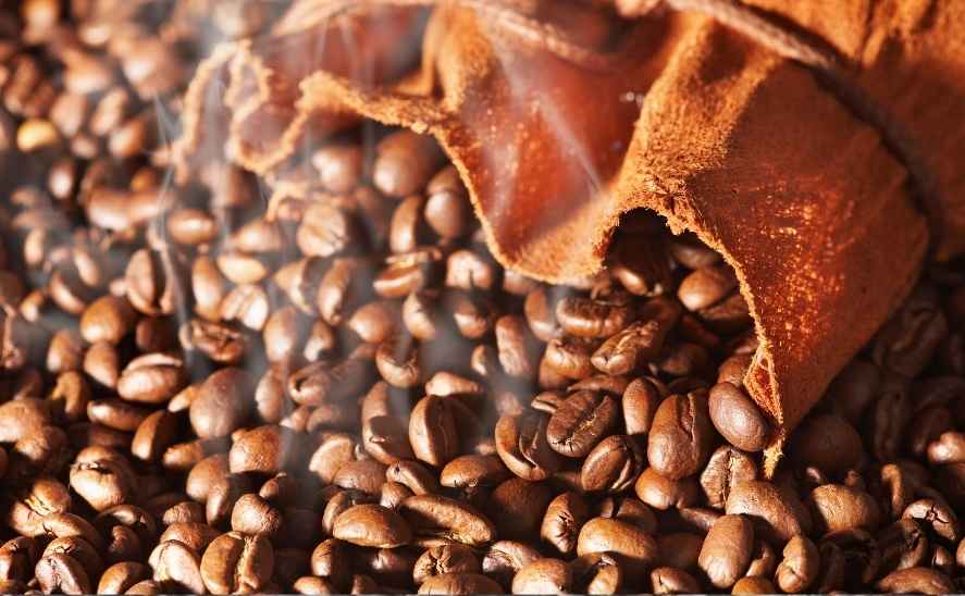 Jenis kopi arabika dan robusta